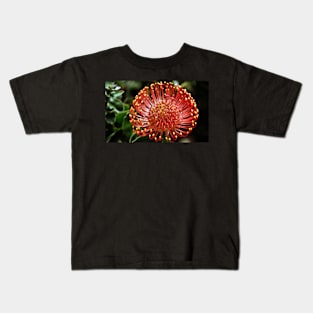 Protea portrait, Kirstenbosch Gardens, South Africa Kids T-Shirt